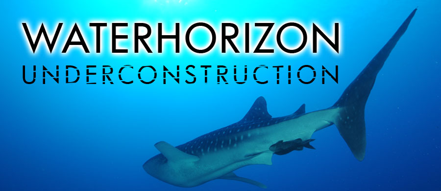Waterhorizon undercostrucion